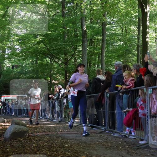 28.09.2025 - 33. Volkslauf durch das schöne Alstertal Strokosch-Dieckow http://msf.ph/oto/8973773 28.09.2025 12:24:07 Ziel 1750, 2298, 2379, 2540 meine-sportfotos.de