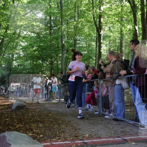 28.09.2025 - 33. Volkslauf durch das schöne Alstertal Strokosch-Dieckow http://msf.ph/oto/8973775 28.09.2025 12:24:08 Ziel 1750, 2298, 2540 meine-sportfotos.de