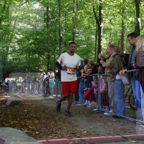 28.09.2025 - 33. Volkslauf durch das schöne Alstertal Strokosch-Dieckow http://msf.ph/oto/8973778 28.09.2025 12:24:11 Ziel 2298, 2540, 2558 meine-sportfotos.de