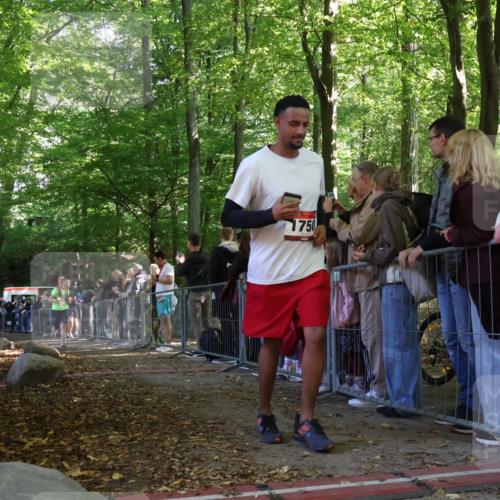 28.09.2025 - 33. Volkslauf durch das schöne Alstertal Strokosch-Dieckow http://msf.ph/oto/8973779 28.09.2025 12:24:11 Ziel 2298, 2540, 2558 meine-sportfotos.de