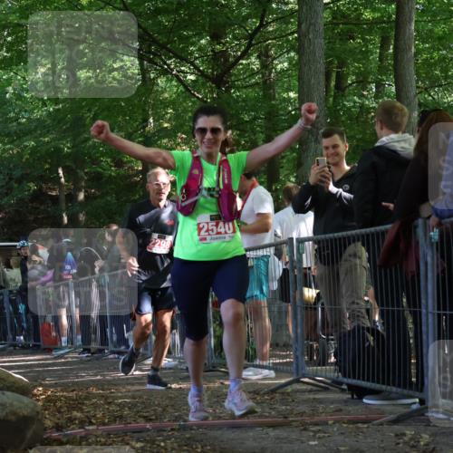 28.09.2025 - 33. Volkslauf durch das schöne Alstertal Strokosch-Dieckow http://msf.ph/oto/8973782 28.09.2025 12:24:13 Ziel 2298, 2540, 2558 meine-sportfotos.de