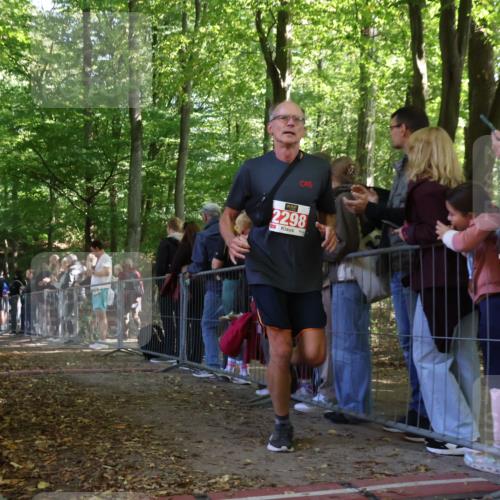 28.09.2025 - 33. Volkslauf durch das schöne Alstertal Strokosch-Dieckow http://msf.ph/oto/8973787 28.09.2025 12:24:16 Ziel 1089, 2144, 2558 meine-sportfotos.de
