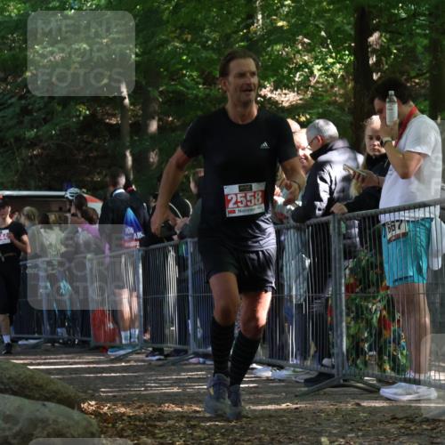 28.09.2025 - 33. Volkslauf durch das schöne Alstertal Strokosch-Dieckow http://msf.ph/oto/8973789 28.09.2025 12:24:19 Ziel 1089, 2144, 2415, 2558, 2606 meine-sportfotos.de