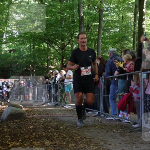 28.09.2025 - 33. Volkslauf durch das schöne Alstertal Strokosch-Dieckow http://msf.ph/oto/8973792 28.09.2025 12:24:21 Ziel 1089, 2144, 2415, 2471, 2472, 2558, 2606 meine-sportfotos.de
