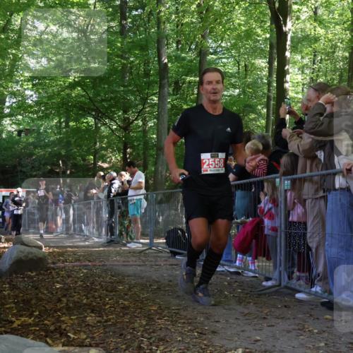28.09.2025 - 33. Volkslauf durch das schöne Alstertal Strokosch-Dieckow http://msf.ph/oto/8973793 28.09.2025 12:24:21 Ziel 1089, 2144, 2415, 2471, 2472, 2558, 2606 meine-sportfotos.de