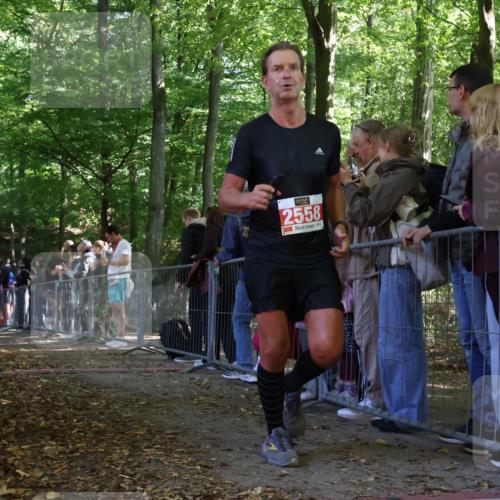 28.09.2025 - 33. Volkslauf durch das schöne Alstertal Strokosch-Dieckow http://msf.ph/oto/8973794 28.09.2025 12:24:21 Ziel 1089, 2144, 2415, 2471, 2472, 2558, 2606 meine-sportfotos.de