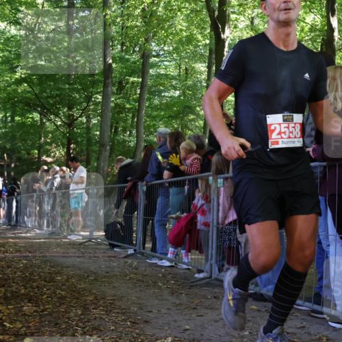 28.09.2025 - 33. Volkslauf durch das schöne Alstertal Strokosch-Dieckow http://msf.ph/oto/8973795 28.09.2025 12:24:22 Ziel 1089, 2144, 2415, 2471, 2472, 2606 meine-sportfotos.de
