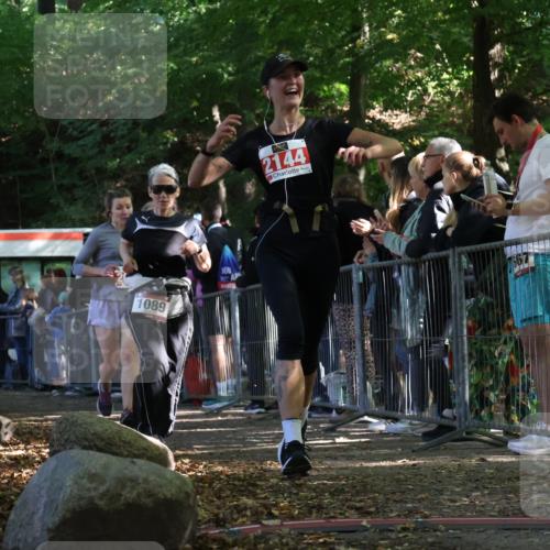 28.09.2025 - 33. Volkslauf durch das schöne Alstertal Strokosch-Dieckow http://msf.ph/oto/8973796 28.09.2025 12:24:23 Ziel 1089, 2144, 2415, 2471, 2472, 2606 meine-sportfotos.de