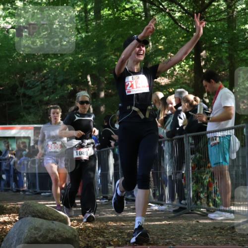 28.09.2025 - 33. Volkslauf durch das schöne Alstertal Strokosch-Dieckow http://msf.ph/oto/8973797 28.09.2025 12:24:24 Ziel 1089, 2144, 2415, 2471, 2472, 2606 meine-sportfotos.de