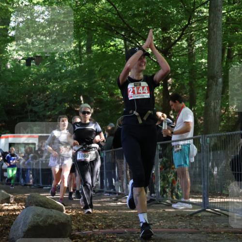 28.09.2025 - 33. Volkslauf durch das schöne Alstertal Strokosch-Dieckow http://msf.ph/oto/8973798 28.09.2025 12:24:24 Ziel 1089, 2144, 2415, 2471, 2472, 2606 meine-sportfotos.de