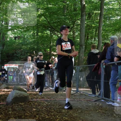 28.09.2025 - 33. Volkslauf durch das schöne Alstertal Strokosch-Dieckow http://msf.ph/oto/8973799 28.09.2025 12:24:24 Ziel 1089, 2144, 2415, 2471, 2472, 2606 meine-sportfotos.de