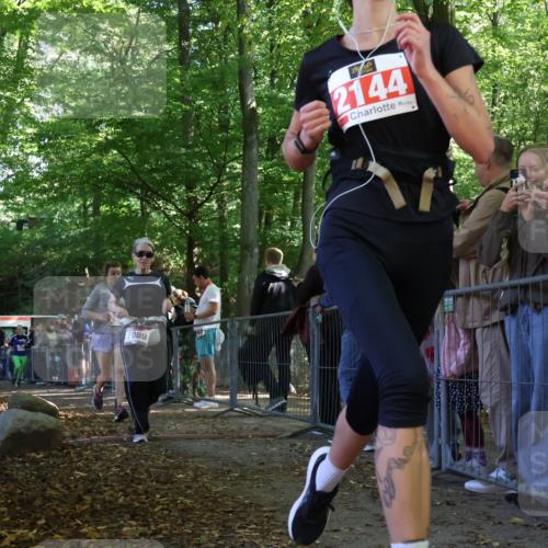 28.09.2025 - 33. Volkslauf durch das schöne Alstertal Strokosch-Dieckow http://msf.ph/oto/8973802 28.09.2025 12:24:25 Ziel 1089, 2144, 2415, 2471, 2472, 2606 meine-sportfotos.de