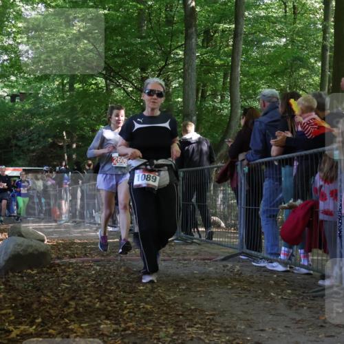 28.09.2025 - 33. Volkslauf durch das schöne Alstertal Strokosch-Dieckow http://msf.ph/oto/8973803 28.09.2025 12:24:26 Ziel 1089, 2415, 2471, 2472, 2606 meine-sportfotos.de