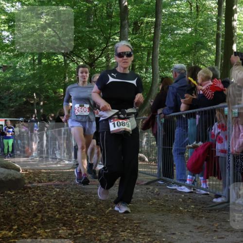 28.09.2025 - 33. Volkslauf durch das schöne Alstertal Strokosch-Dieckow http://msf.ph/oto/8973804 28.09.2025 12:24:26 Ziel 1089, 2415, 2471, 2472, 2606 meine-sportfotos.de