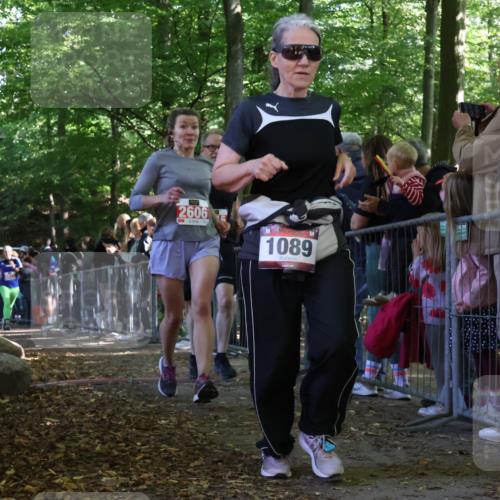 28.09.2025 - 33. Volkslauf durch das schöne Alstertal Strokosch-Dieckow http://msf.ph/oto/8973805 28.09.2025 12:24:27 Ziel 2226, 2415, 2424, 2471, 2472, 2606 meine-sportfotos.de
