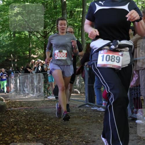 28.09.2025 - 33. Volkslauf durch das schöne Alstertal Strokosch-Dieckow http://msf.ph/oto/8973806 28.09.2025 12:24:27 Ziel 2226, 2415, 2424, 2471, 2472, 2606 meine-sportfotos.de