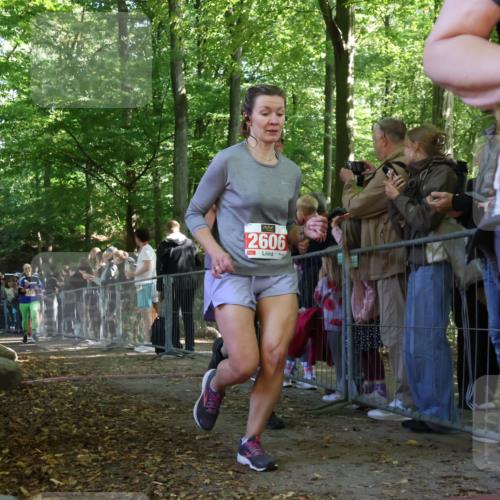 28.09.2025 - 33. Volkslauf durch das schöne Alstertal Strokosch-Dieckow http://msf.ph/oto/8973807 28.09.2025 12:24:28 Ziel 2226, 2424, 2471, 2472 meine-sportfotos.de