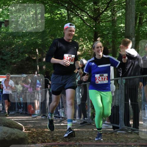 28.09.2025 - 33. Volkslauf durch das schöne Alstertal Strokosch-Dieckow http://msf.ph/oto/8973811 28.09.2025 12:24:30 Ziel 2226, 2424, 2471, 2472 meine-sportfotos.de