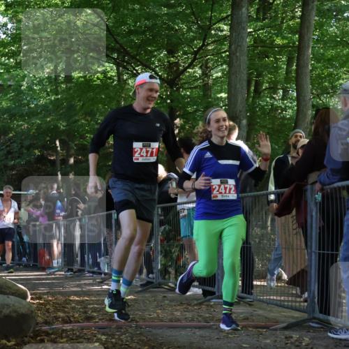 28.09.2025 - 33. Volkslauf durch das schöne Alstertal Strokosch-Dieckow http://msf.ph/oto/8973812 28.09.2025 12:24:31 Ziel 2226, 2424, 2471, 2472 meine-sportfotos.de