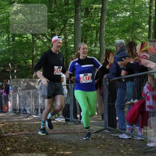 28.09.2025 - 33. Volkslauf durch das schöne Alstertal Strokosch-Dieckow http://msf.ph/oto/8973813 28.09.2025 12:24:31 Ziel 2226, 2424, 2471, 2472 meine-sportfotos.de