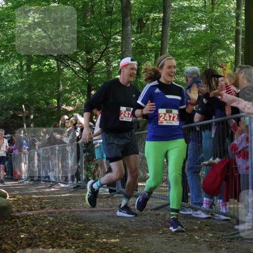 28.09.2025 - 33. Volkslauf durch das schöne Alstertal Strokosch-Dieckow http://msf.ph/oto/8973814 28.09.2025 12:24:31 Ziel 2226, 2424, 2471, 2472 meine-sportfotos.de
