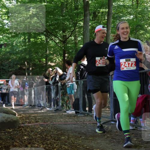28.09.2025 - 33. Volkslauf durch das schöne Alstertal Strokosch-Dieckow http://msf.ph/oto/8973815 28.09.2025 12:24:32 Ziel 2226, 2424 meine-sportfotos.de