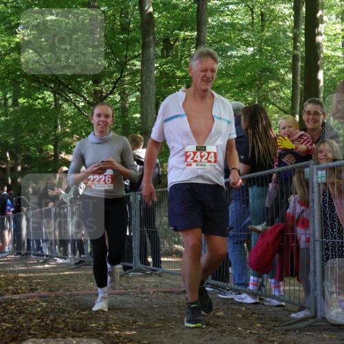 28.09.2025 - 33. Volkslauf durch das schöne Alstertal Strokosch-Dieckow http://msf.ph/oto/8973818 28.09.2025 12:24:37 Ziel 2104, 2226, 2424 meine-sportfotos.de