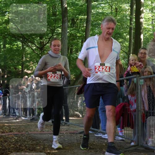 28.09.2025 - 33. Volkslauf durch das schöne Alstertal Strokosch-Dieckow http://msf.ph/oto/8973819 28.09.2025 12:24:37 Ziel 2104, 2226, 2424 meine-sportfotos.de