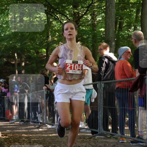 28.09.2025 - 33. Volkslauf durch das schöne Alstertal Strokosch-Dieckow http://msf.ph/oto/8973824 28.09.2025 12:24:43 Ziel 2104, 2599 meine-sportfotos.de
