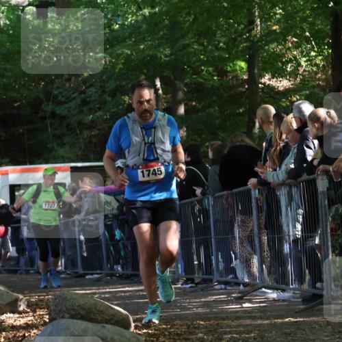 28.09.2025 - 33. Volkslauf durch das schöne Alstertal Strokosch-Dieckow http://msf.ph/oto/8973826 28.09.2025 12:24:52 Ziel 1727, 1745, 2194 meine-sportfotos.de
