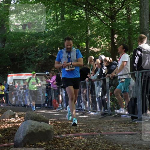 28.09.2025 - 33. Volkslauf durch das schöne Alstertal Strokosch-Dieckow http://msf.ph/oto/8973827 28.09.2025 12:24:53 Ziel 1727, 1745, 2194 meine-sportfotos.de