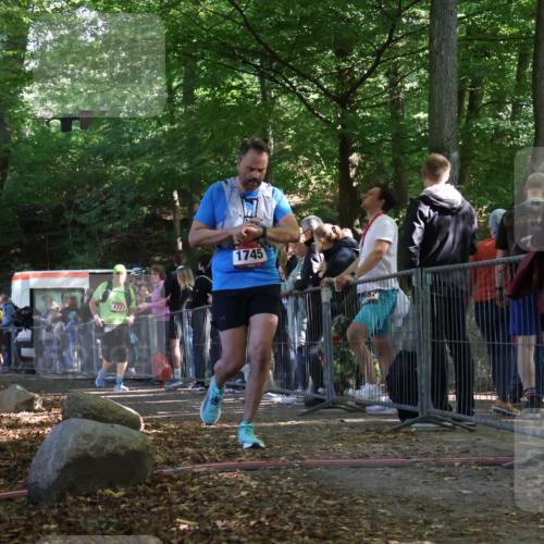 28.09.2025 - 33. Volkslauf durch das schöne Alstertal Strokosch-Dieckow http://msf.ph/oto/8973828 28.09.2025 12:24:53 Ziel 1727, 1745, 2194 meine-sportfotos.de