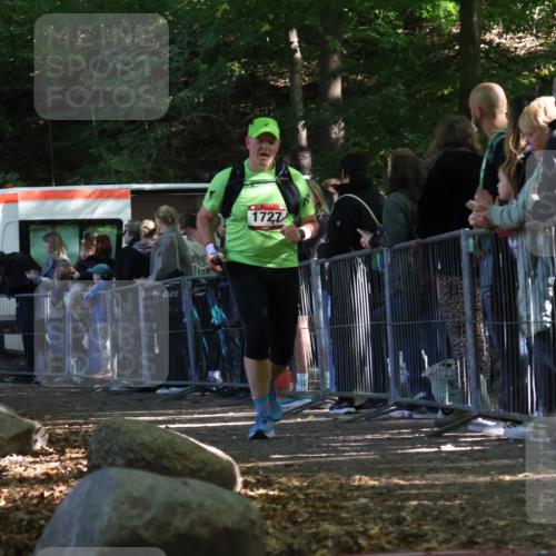 28.09.2025 - 33. Volkslauf durch das schöne Alstertal Strokosch-Dieckow http://msf.ph/oto/8973831 28.09.2025 12:24:55 Ziel 1727, 1745, 2194 meine-sportfotos.de
