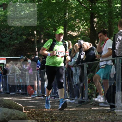 28.09.2025 - 33. Volkslauf durch das schöne Alstertal Strokosch-Dieckow http://msf.ph/oto/8973834 28.09.2025 12:24:57 Ziel 1727, 2194 meine-sportfotos.de