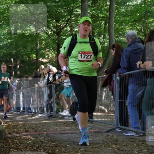 28.09.2025 - 33. Volkslauf durch das schöne Alstertal Strokosch-Dieckow http://msf.ph/oto/8973837 28.09.2025 12:24:59 Ziel 1727, 2136, 2194, 2228 meine-sportfotos.de