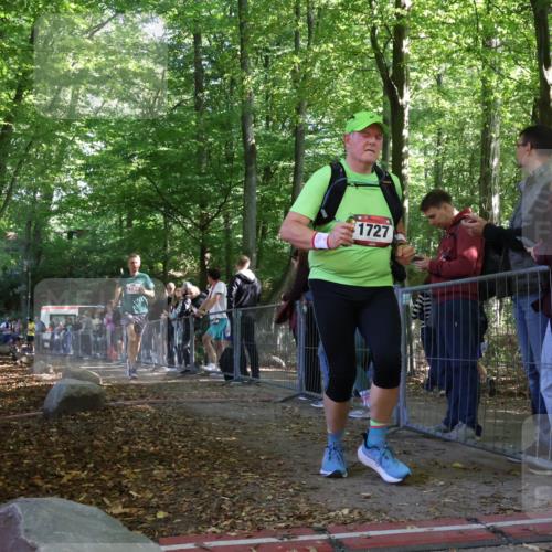 28.09.2025 - 33. Volkslauf durch das schöne Alstertal Strokosch-Dieckow http://msf.ph/oto/8973839 28.09.2025 12:25:00 Ziel 2136, 2194, 2228 meine-sportfotos.de