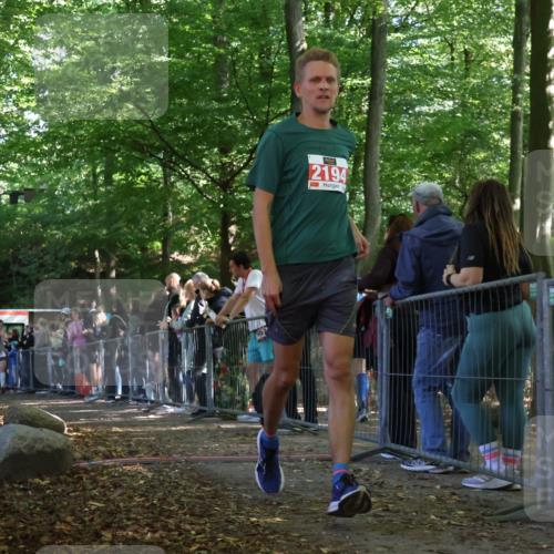 28.09.2025 - 33. Volkslauf durch das schöne Alstertal Strokosch-Dieckow http://msf.ph/oto/8973842 28.09.2025 12:25:02 Ziel 2046, 2136, 2194, 2228, 2315 meine-sportfotos.de