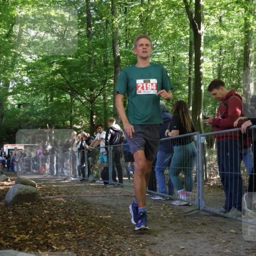 28.09.2025 - 33. Volkslauf durch das schöne Alstertal Strokosch-Dieckow http://msf.ph/oto/8973843 28.09.2025 12:25:03 Ziel 2046, 2136, 2228, 2315 meine-sportfotos.de