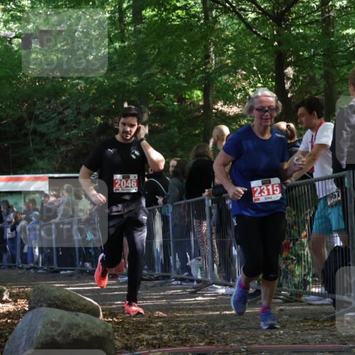 28.09.2025 - 33. Volkslauf durch das schöne Alstertal Strokosch-Dieckow http://msf.ph/oto/8973850 28.09.2025 12:25:10 Ziel 2046, 2315 meine-sportfotos.de