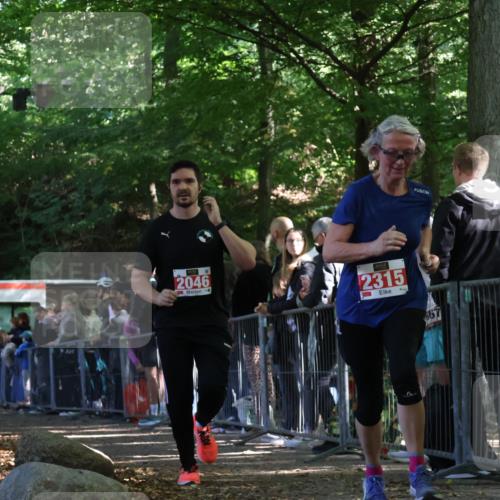 28.09.2025 - 33. Volkslauf durch das schöne Alstertal Strokosch-Dieckow http://msf.ph/oto/8973851 28.09.2025 12:25:10 Ziel 2046, 2315 meine-sportfotos.de