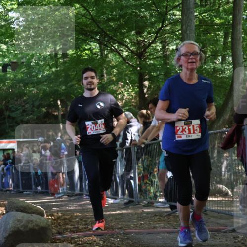 28.09.2025 - 33. Volkslauf durch das schöne Alstertal Strokosch-Dieckow http://msf.ph/oto/8973853 28.09.2025 12:25:11 Ziel 2046, 2315 meine-sportfotos.de