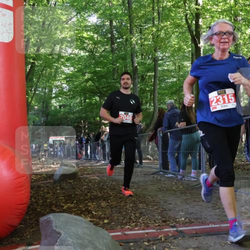 28.09.2025 - 33. Volkslauf durch das schöne Alstertal Strokosch-Dieckow http://msf.ph/oto/8973855 28.09.2025 12:25:12 Ziel 2046 meine-sportfotos.de