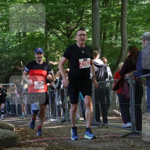 28.09.2025 - 33. Volkslauf durch das schöne Alstertal Strokosch-Dieckow http://msf.ph/oto/8973858 28.09.2025 12:25:23 Ziel 1083, 1742, 2162, 2569, 2585 meine-sportfotos.de