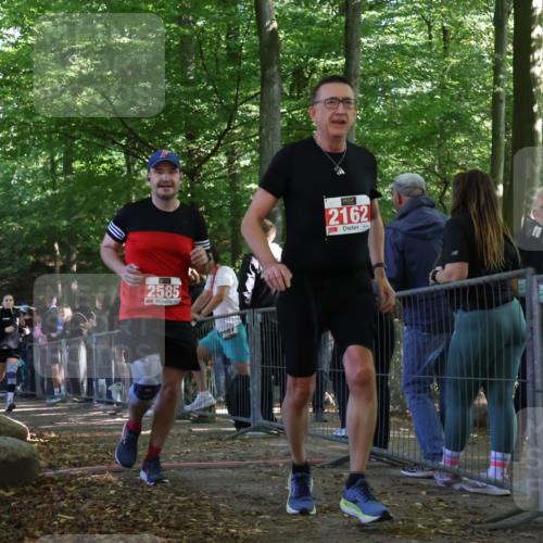 28.09.2025 - 33. Volkslauf durch das schöne Alstertal Strokosch-Dieckow http://msf.ph/oto/8973859 28.09.2025 12:25:23 Ziel 1083, 1742, 2162, 2569, 2585 meine-sportfotos.de
