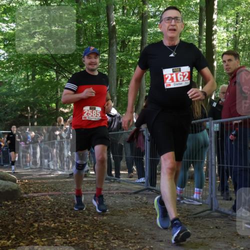 28.09.2025 - 33. Volkslauf durch das schöne Alstertal Strokosch-Dieckow http://msf.ph/oto/8973860 28.09.2025 12:25:24 Ziel 1083, 1742, 2569, 2585 meine-sportfotos.de