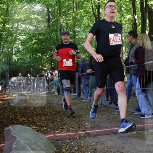 28.09.2025 - 33. Volkslauf durch das schöne Alstertal Strokosch-Dieckow http://msf.ph/oto/8973861 28.09.2025 12:25:24 Ziel 1083, 1742, 2569, 2585 meine-sportfotos.de