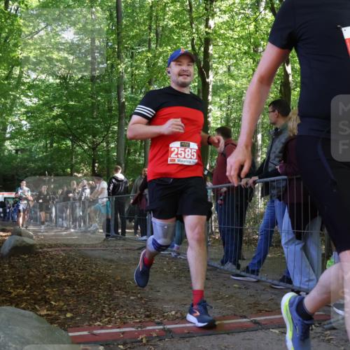 28.09.2025 - 33. Volkslauf durch das schöne Alstertal Strokosch-Dieckow http://msf.ph/oto/8973862 28.09.2025 12:25:25 Ziel 1083, 1742, 2569 meine-sportfotos.de