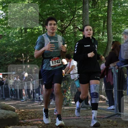 28.09.2025 - 33. Volkslauf durch das schöne Alstertal Strokosch-Dieckow http://msf.ph/oto/8973866 28.09.2025 12:25:28 Ziel 1083, 1742, 2569 meine-sportfotos.de