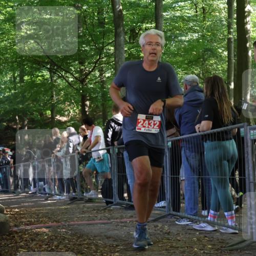 28.09.2025 - 33. Volkslauf durch das schöne Alstertal Strokosch-Dieckow http://msf.ph/oto/8973876 28.09.2025 12:25:39 Ziel 1068, 2432 meine-sportfotos.de