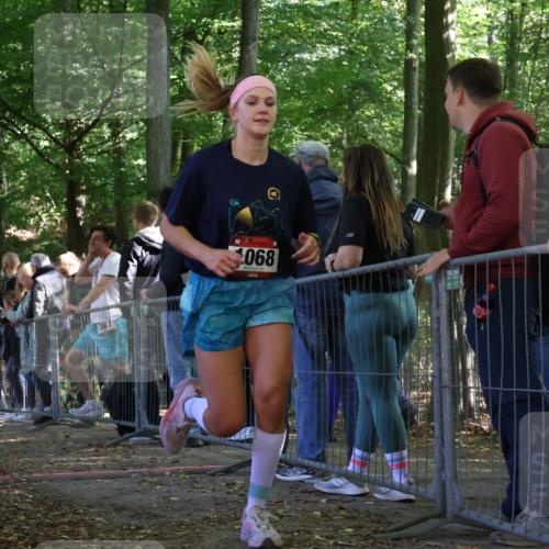 28.09.2025 - 33. Volkslauf durch das schöne Alstertal Strokosch-Dieckow http://msf.ph/oto/8973879 28.09.2025 12:25:47 Ziel 1068, 2533 meine-sportfotos.de